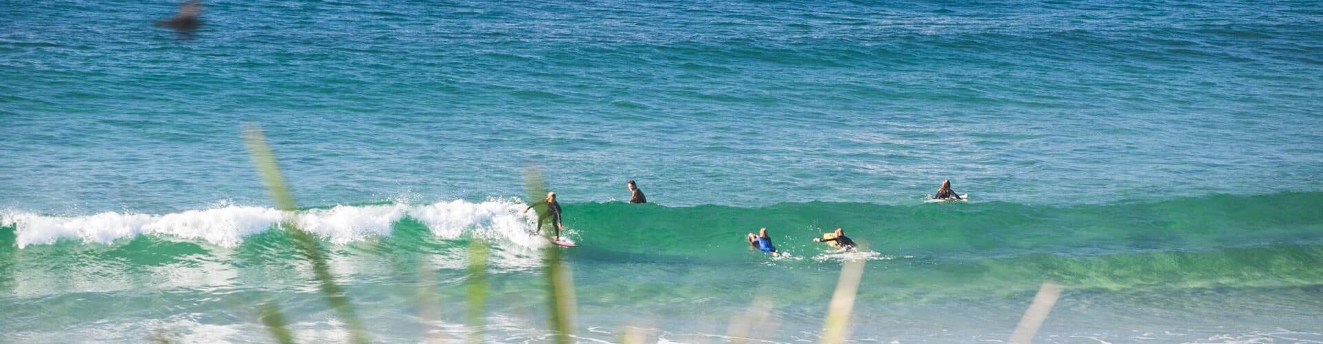 Morton Accommodation